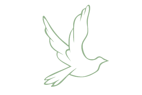 BirdSmall